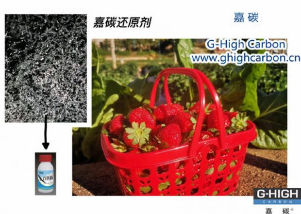 嘉碳還原劑守護“莓”好，甜蜜上線