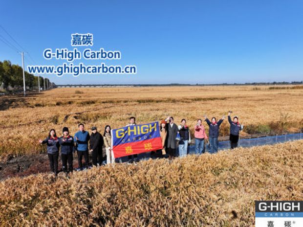 嘉碳助力農(nóng)機(jī)生產(chǎn) 員工金秋盤錦樂享“稻黃蟹肥”