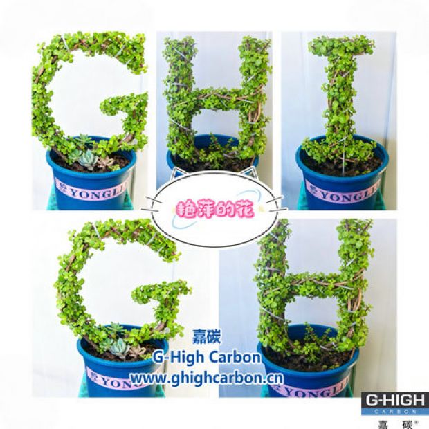 手握增碳劑精研工作，心藏巧思筑花藝生活